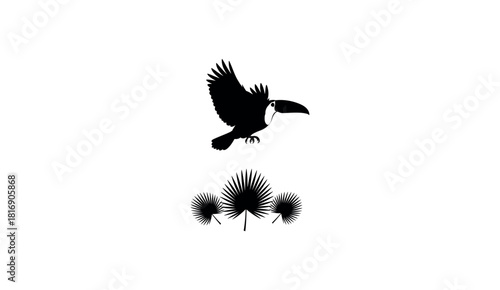 Black-headed vulture, a wild flying black and white bird, vector silhouette illustration of an animal eagle hawk with feather design and wing tattoo symbol