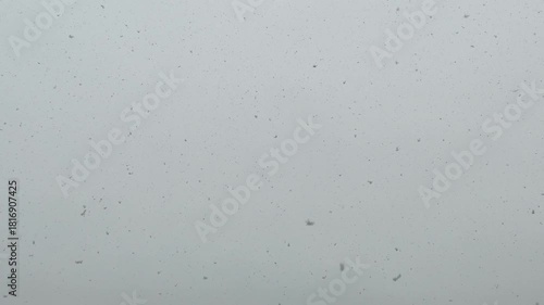 falling snow against the sky