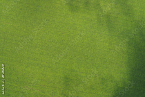 High-angle abstract aerial close-up of a uniform green field texture with a dramatic, large dark shadow diagonally traversing the frame. Background for minimalism, graphic design, agriculture