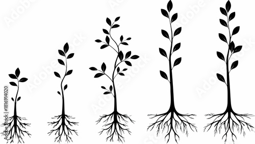 Witness the Remarkable Plant Growth Stages, a Visual Journey of Life's Flourishing Evolution, Perfect for Illustrating Progress and Development Concepts