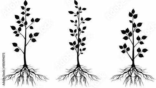 Elegant tree silhouettes create a natural, organic feel, perfect for ecological projects, branding, and nature-inspired designs, originally a scalable graphic