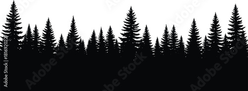 Silhouette pine forest landscape, with dense evergreen trees creating dramatic natural woodland horizon at dusk