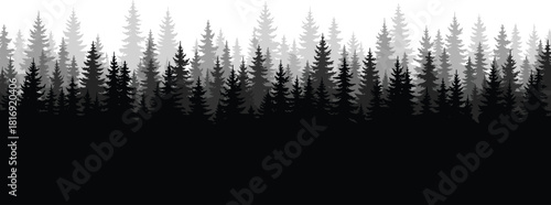 Monochrome pine forest silhouette with layered evergreen trees, misty woodland background, tranquil nature landscape illustration