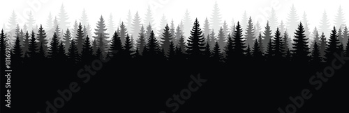 Silhouetted pine forest landscape with layered evergreen trees, misty woodland horizon, monochrome nature background illustration