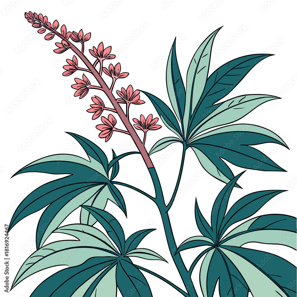 Fototapeta premium artemisia ludoviciana on white background 