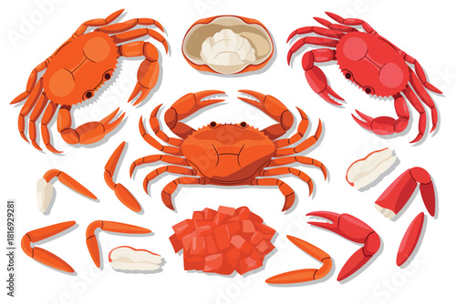 Collection of cooked crab parts and whole crab illustration