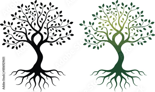 Elegant tree of life with intertwined trunk symbolizing unity, growth, nature, roots, balance, harmony, and organic resilience