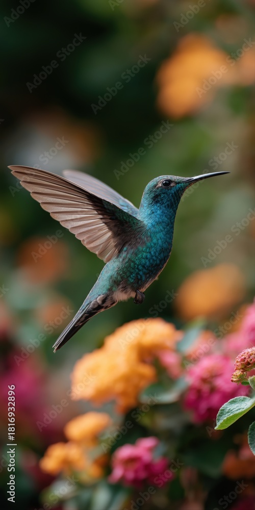 Fototapeta premium Vibrant hummingbird hovering among colorful blooms in lush garden
