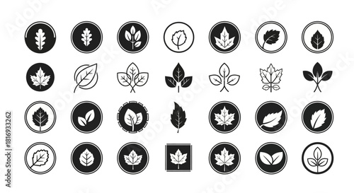 Monochrome leaf icon set featuring diverse botanical foliage in elegant vector silhouettes