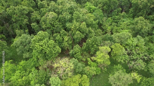 Valmiki Tiger Reserve in Bihar featuring dense forests, diverse wildlife, scenic hills and rich biodiversity. A pristine habitat home to tigers, elephants and rare species in natural surroundings.