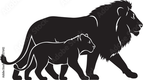 Majestic lion and cub silhouette pride family walking together animal wildlife