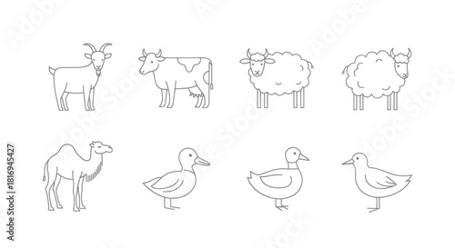 Simple line drawings of various farm and domestic animals in a clean, organized row.