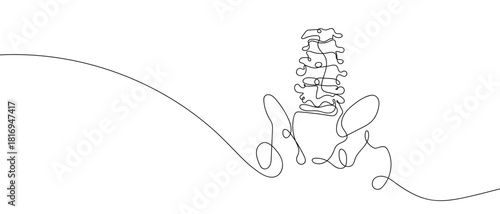 Spine and pelvis in one continuous line one line vector illustration Editable stroke.