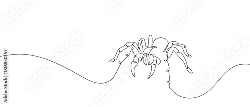 Poisonous spider in one continuous line one line vector illustration Editable stroke.