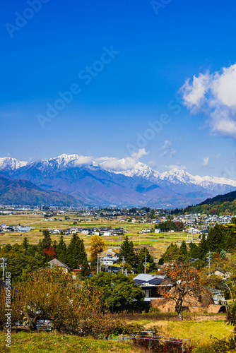Wallpaper Mural 大町市から見た冠雪後三段紅葉の白馬の山々 Torontodigital.ca
