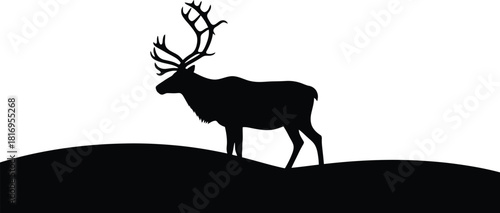 Silhouette of a majestic reindeer with large antlers standing a dark hill against a