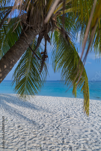 Malediven, Coco Palm