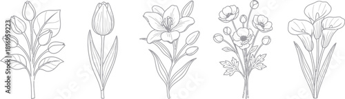 Vintage floral bouquet outlines delicate botanical illustrations for design and decoration projects