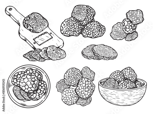 Hand drawn truffle outline drawing vector illustration 