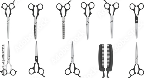 Styling Tools Array Scissors and Comb on White