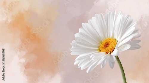   A white flower with a yellow center against a pink-white backdrop featuring a yellow focal point