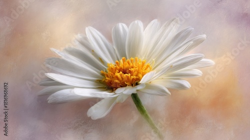   Close-up of a white and yellow flower against a pink and yellow backdrop, centered in white and yellow
