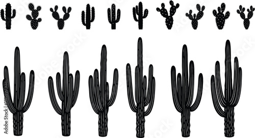 Black silhouette cactus collection featuring diverse desert cacti shapes, botanical illustration set, natural plant graphics, succulent elements for design projects
