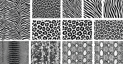 Black and white animal skin pattern collection featuring zebra, leopard, cheetah, snake and reptile textures for fashion design backgrounds and digital artwork