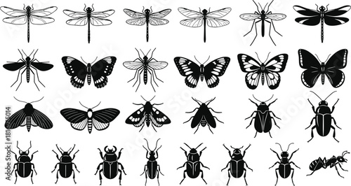 Collection of detailed insect silhouettes and line drawings, featuring butterflies, dragonflies, moths, beetles, mosquitoes, and an ant, perfect for nature, entomology, and educational vector graphics