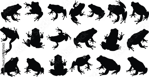 Collection of various frog and toad silhouettes captured in multiple jumping, sitting, and resting poses, ideal for nature, wildlife, amphibian biology, ecology