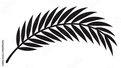 Black silhouette of a fern frond on a white background