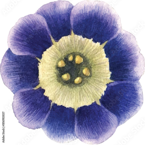 Blue Flower with Yellow Center and Purple Bar bloom