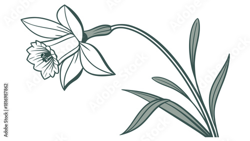 Welsh Daffodil – Simple Icon Design, Modern Cymru National Flower Illustration, Clean Minimal Welsh Symbol Vector Art