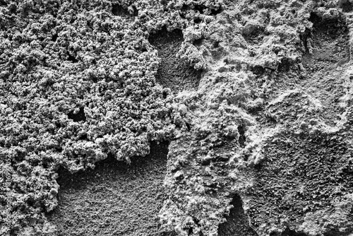 Rough Concrete Surface Texture in Monochrome – Closeup of Cracked, Crumbly Gray Material, Industrial Texture Detail
