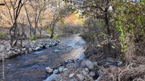 The river flows among the rocks, among the trees, in the evening