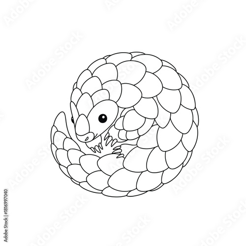 Cute pangolin curled into a ball, isolated on