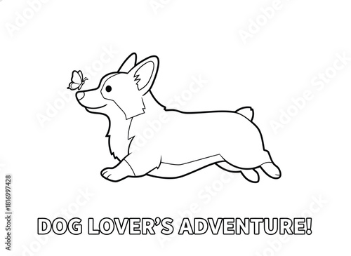 Cute corgi dog looking at a butterfly, isolated on