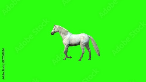 Elegant white horse gracefully galloping on a vibrant green screen background, perfect for compositing and creative projects, adding a touch of magic