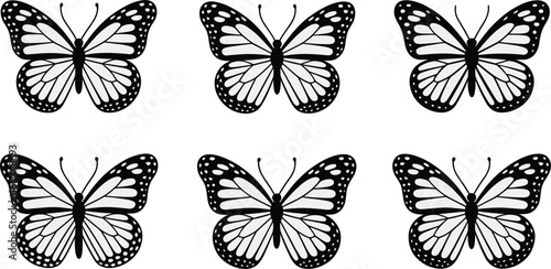 Vector Set of Six Detailed Monarch Butterfly Illustrations in Black and White, Showing Beautiful Wing Patterns for Nature, Spring, and Decorative Graphic Design.