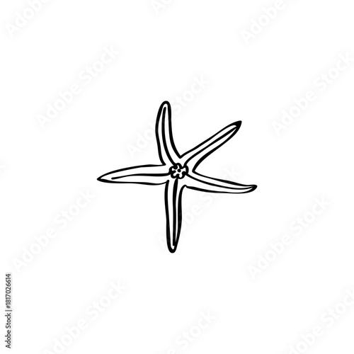Sea star hand drawn vector illustration