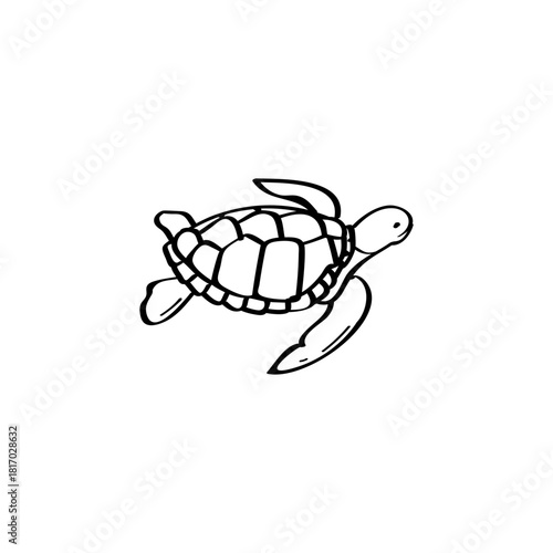 Turtle hand drawn vector illustration