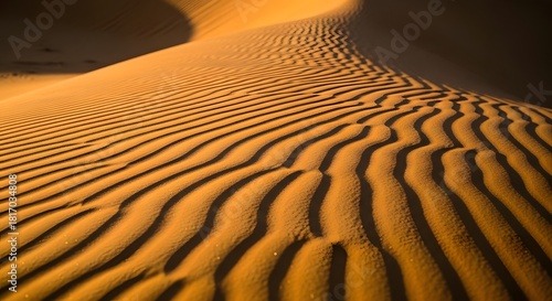 Fototapeta Naklejka Na Ścianę i Meble -  An abstract composition of the wind-swept ripples in the sand of the Sahara desert.
