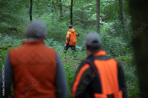 Group of hunters wearing orange safety vests in forest