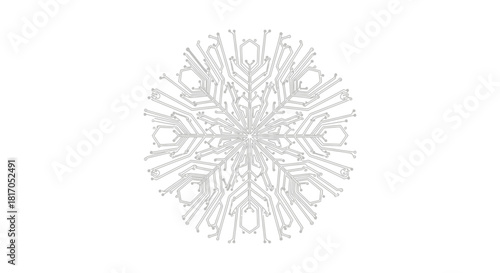 A detailed, symmetrical, and intricate light gray snowflake illustration on a white background.