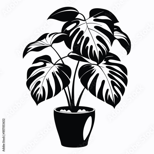monstera deliciosa plant in a pot black and white silhouette