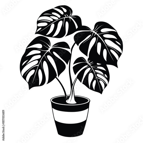 monstera deliciosa plant in a pot black and white silhouette