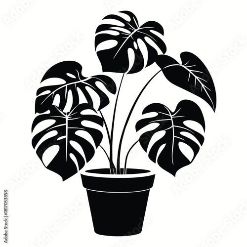 monstera deliciosa plant in a pot black and white silhouette