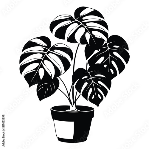 monstera deliciosa plant in a pot black and white silhouette