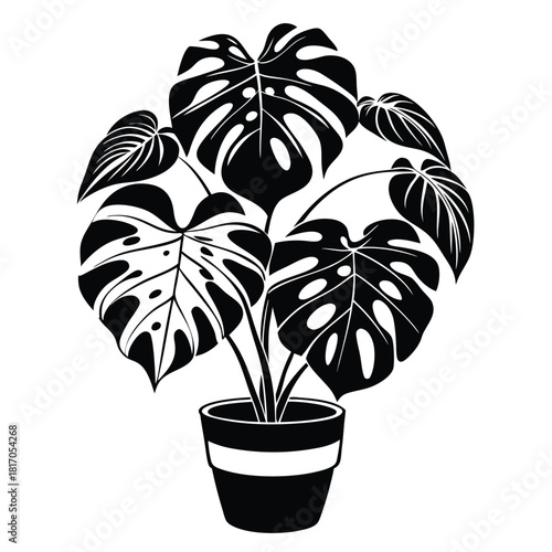 monstera deliciosa plant in a pot black and white silhouette