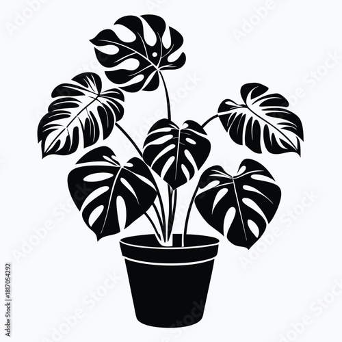 monstera deliciosa plant in a pot black and white silhouette